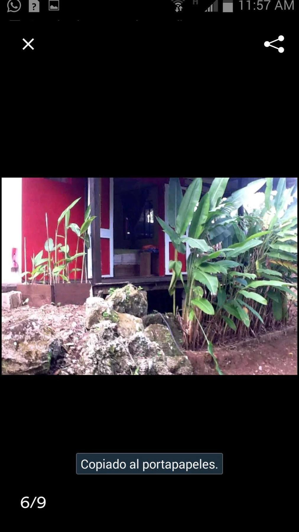Carpe Diem Las Terrenas Exterior photo